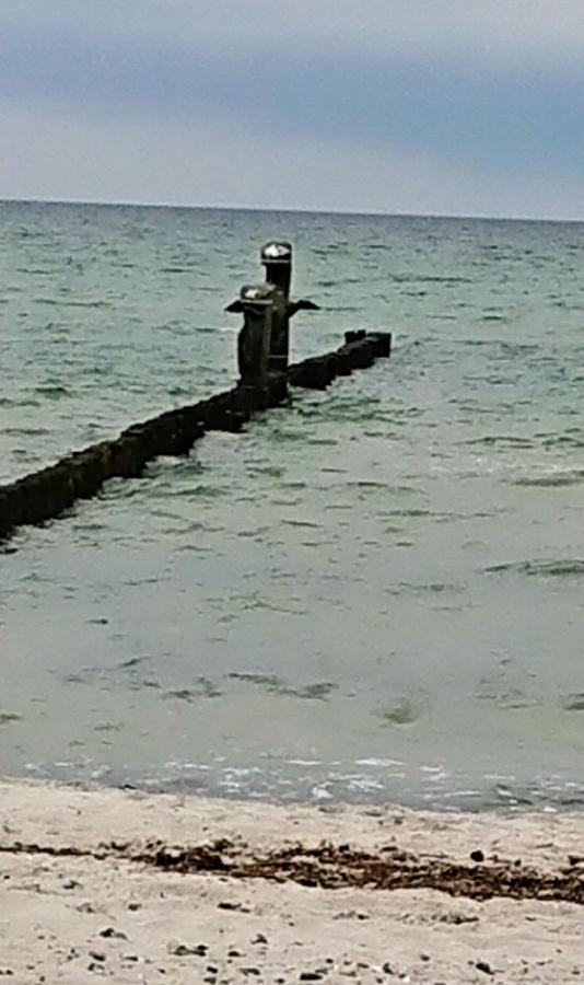Ferienwohnung "Juliette" Zingst Εξωτερικό φωτογραφία